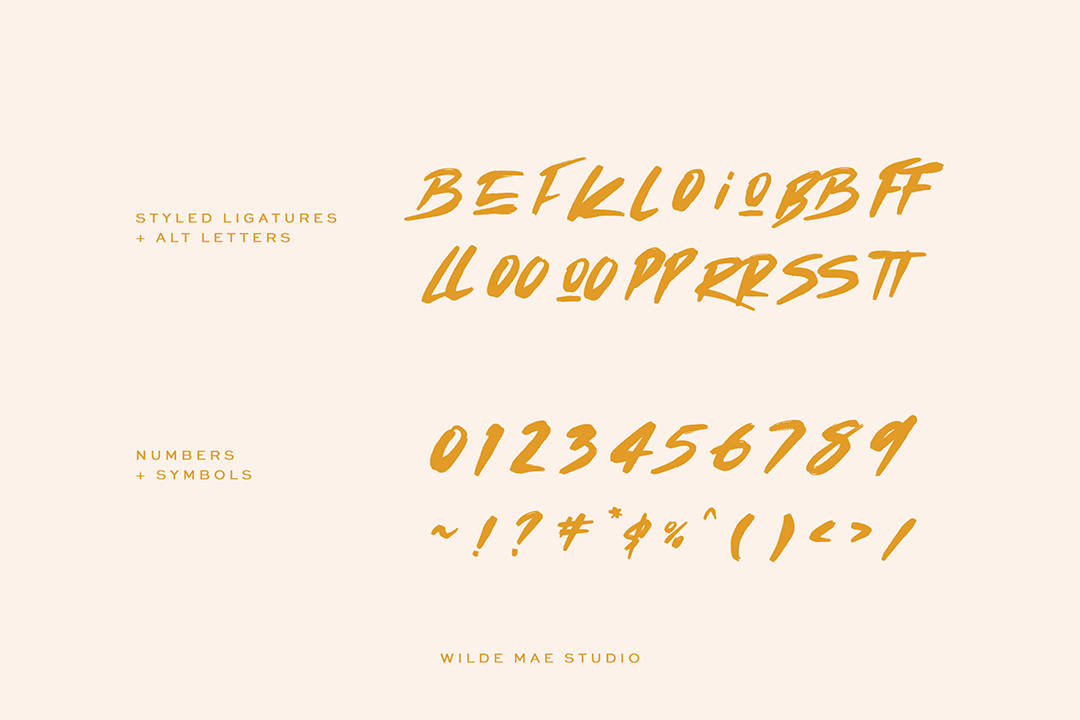 Wilde & Rad Brush Font