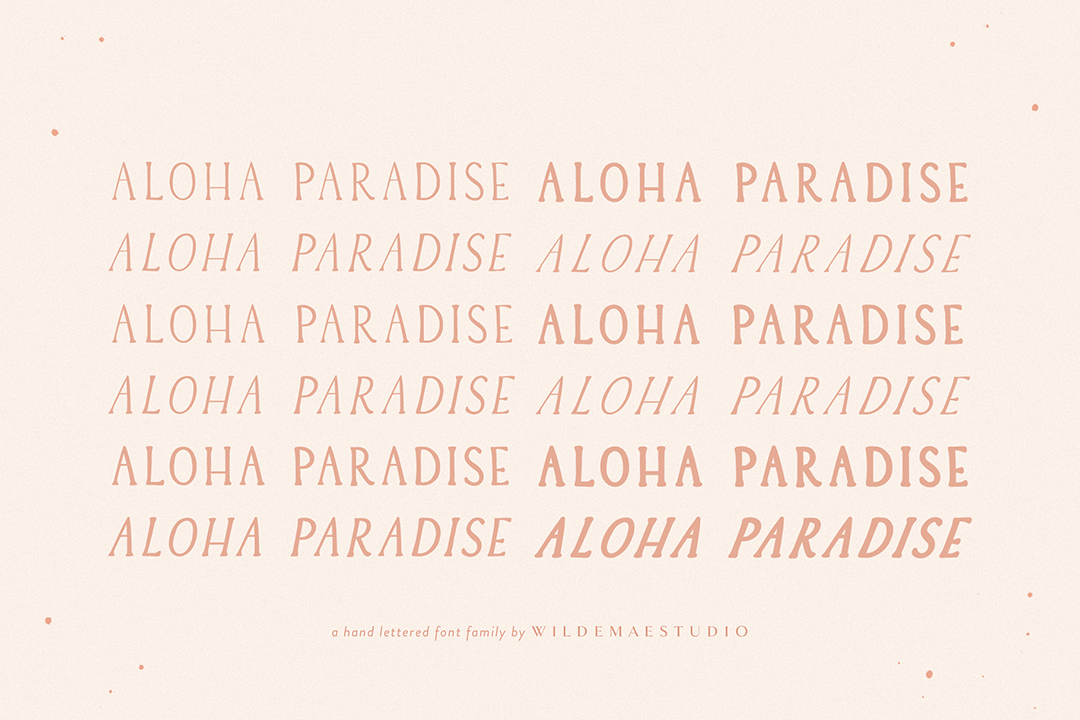 Aloha Paradise Serif Font Family