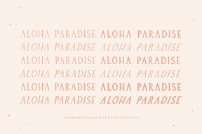 Aloha Paradise Serif Font Family