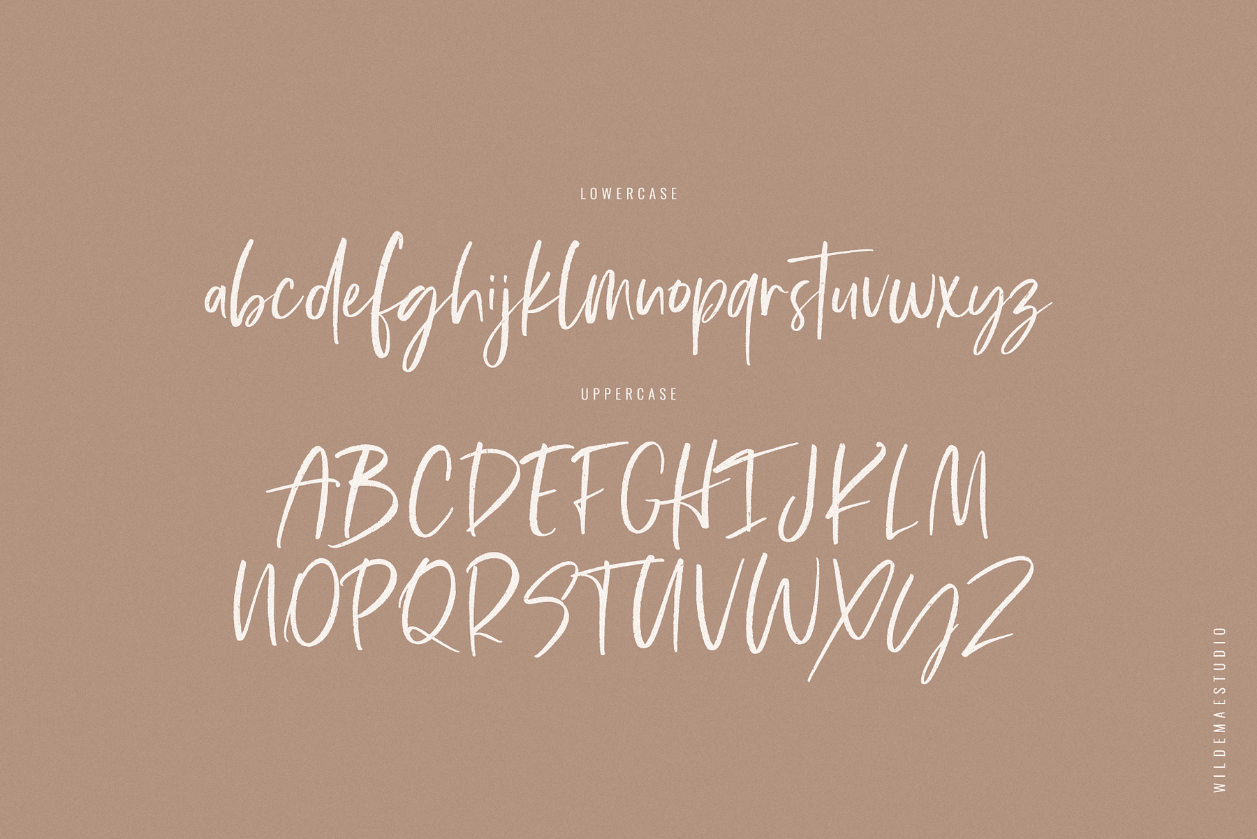 Atlantis Stylish Script Font