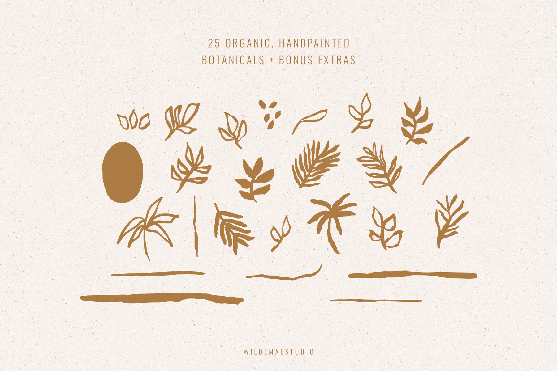 Handpainted Botanical Illustrations