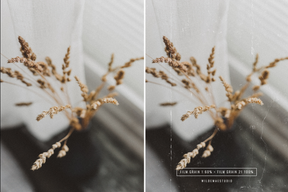 Film Grain Textures & Instant Film Mockups