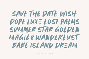 Wander Brush Display Font