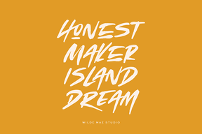 Wilde & Rad Brush Font